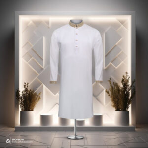 Premium sequence work Ash Colour Panjabi